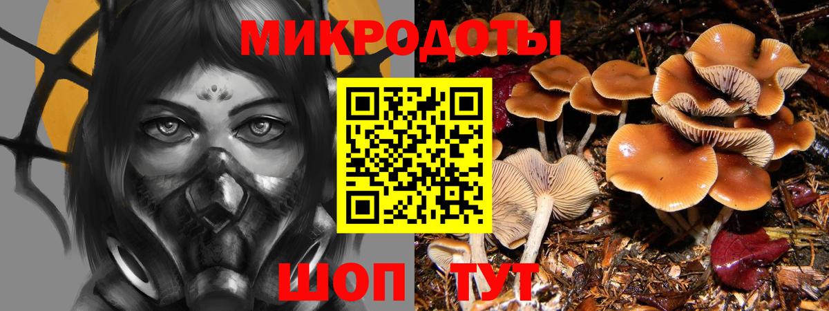 Геленджик  Галлюциногенные грибы MAGIC MUSHROOMS  Вход с VPN 